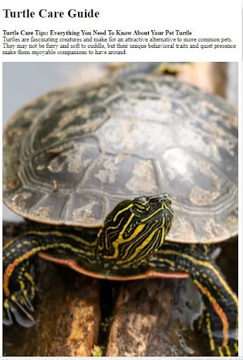 Pet Turtle Care Guide ekran görüntüsü