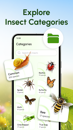 Bug Scanner: Identify Insects ekran görüntüsü