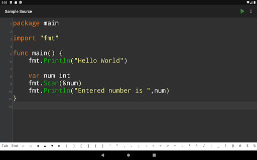 Go Programming Compiler ekran görüntüsü