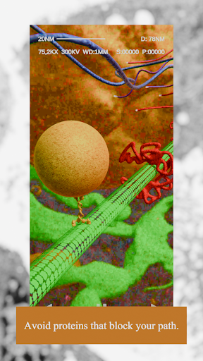 Journey Through Cytoplasm ekran görüntüsü