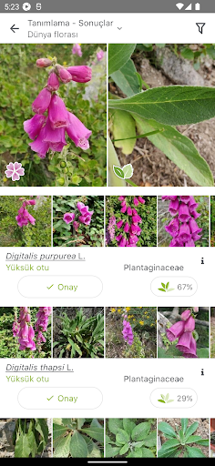 PlantNet Plant Identification ekran görüntüsü