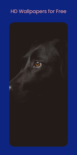 Wallpapers: Wallpaper Changer ekran görüntüsü