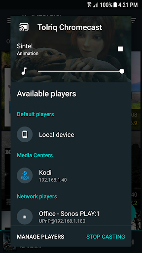 FireTV cast plugin for Yatse ekran görüntüsü