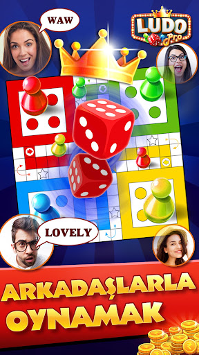 Ludo Pro - kızma birader oyunu ekran görüntüsü