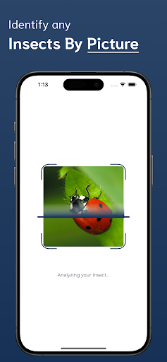 Insect Identifier ekran görüntüsü