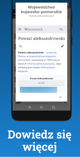 Tablice rejestracyjne BlachyPL ekran görüntüsü