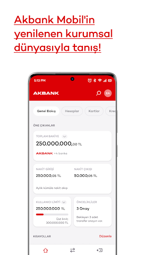 Akbank Mobil ekran görüntüsü