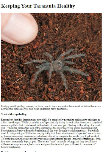 Pet Tarantula Care Guide ekran görüntüsü