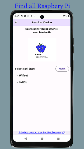 BTBerryWifi ekran görüntüsü
