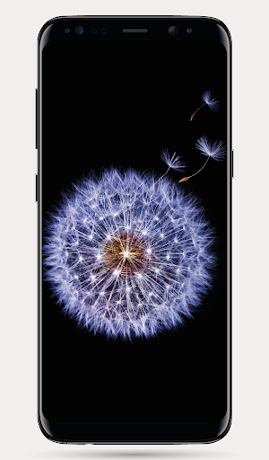 Stock Wallpapers Original Gala ekran görüntüsü