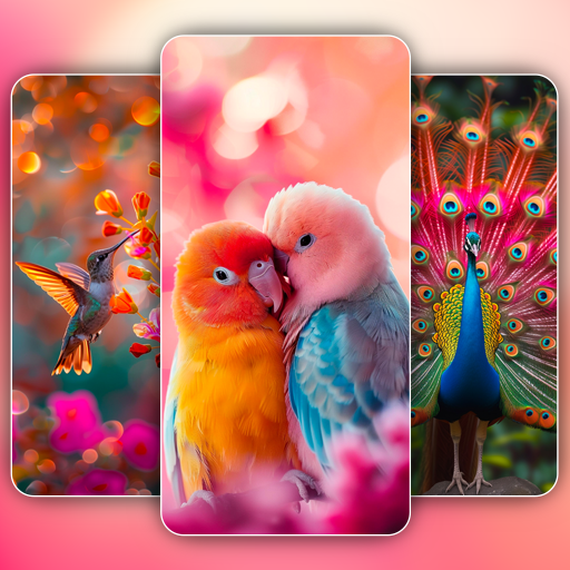 Birds Wallpaper in 4K