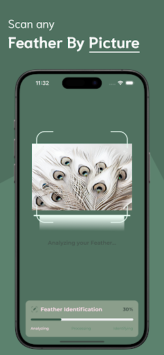 Feather Identifier ekran görüntüsü