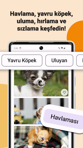 Köpek Sesleri ve Zil Sesleri ekran görüntüsü