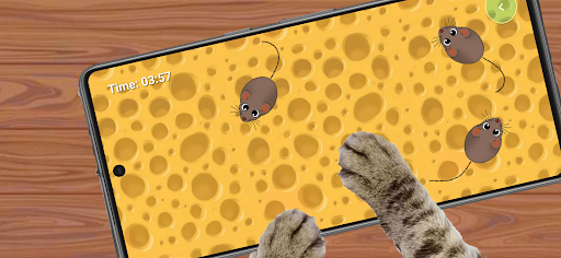 Cat Toy: Mouse Catching Game ekran görüntüsü