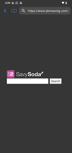 Private Browsing Web Browser ekran görüntüsü