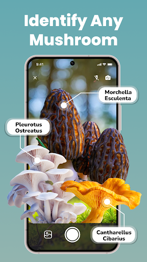 LeafCheck: Plant Identifier ekran görüntüsü