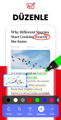 PDF Dönüştürücü - JPG to PDF ekran görüntüsü