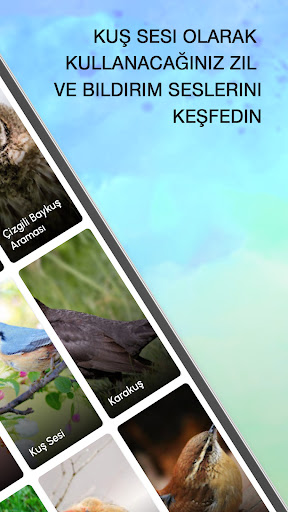 Kuş Şarkısı Sesi ekran görüntüsü