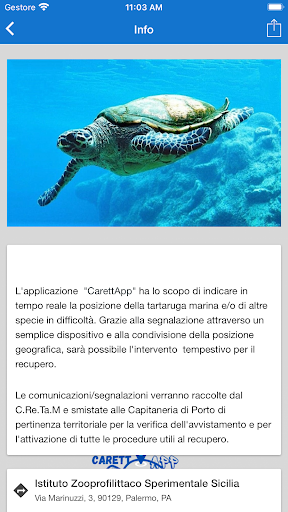 CarettApp ekran görüntüsü
