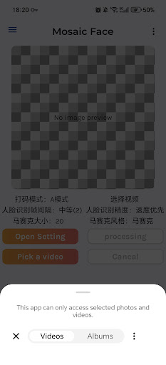 Mosaic Face-Smart Video Blur ekran görüntüsü