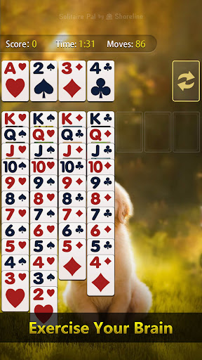 Solitaire Pal: Big Card ekran görüntüsü