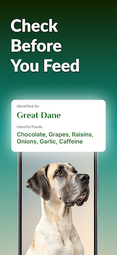 Dog Breed Identifier With AI ekran görüntüsü