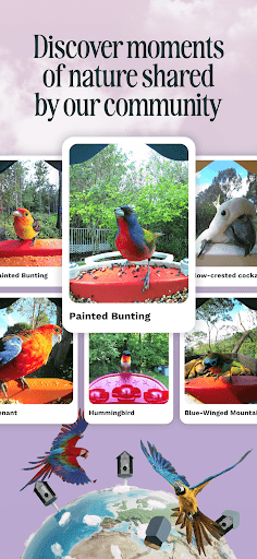 Birdbuddy: ID & Collect Birds ekran görüntüsü