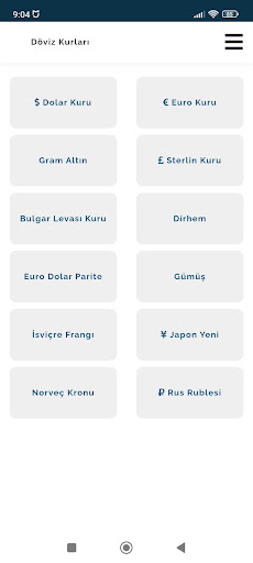 Banka Döviz Kurları ekran görüntüsü