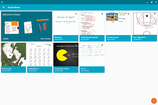 Squid EDU Bulk License ekran görüntüsü