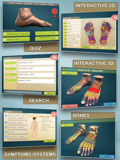 Total Reflexology 3D ekran görüntüsü