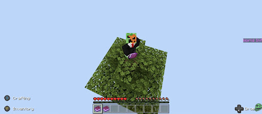 Minecraft Hayatta Kalma ekran görüntüsü