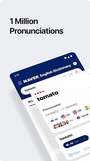 NAVER Dictionary ekran görüntüsü