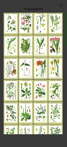 Plant Atlas ekran görüntüsü