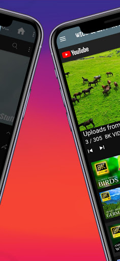 WILD & CITY 4K UHD TOUR ekran görüntüsü