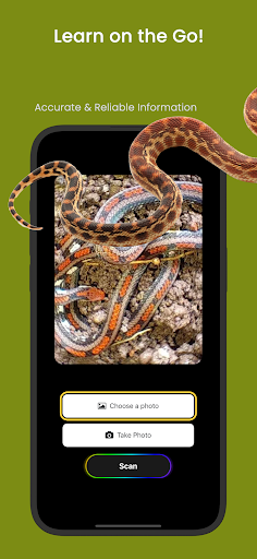Snake ID - reptile identifier ekran görüntüsü