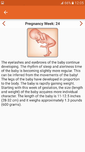 WomanLog Pregnancy Calendar ekran görüntüsü