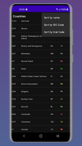 World Dial Codes and Flags ekran görüntüsü
