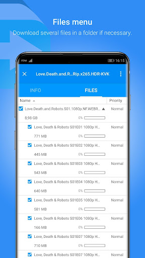 Free Download Manager - FDM ekran görüntüsü
