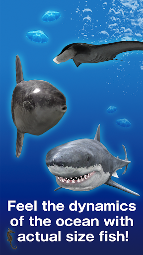 AR TOUR OCEAN ekran görüntüsü
