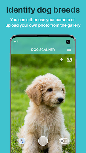 Dog Scanner: Breed Recognition ekran görüntüsü