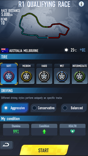 Formula Rising Star ekran görüntüsü