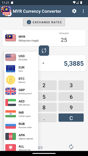 Malaysian ringgit Converter ekran görüntüsü
