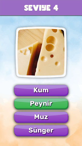 Bu Nedir? Trivia Quiz ekran görüntüsü