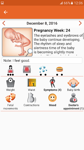 WomanLog Pregnancy Pro ekran görüntüsü