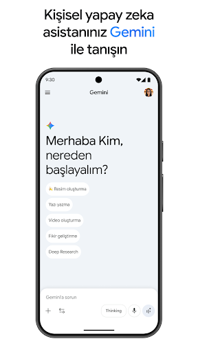 Google Gemini ekran görüntüsü