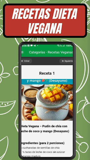 Dieta Vegana ekran görüntüsü