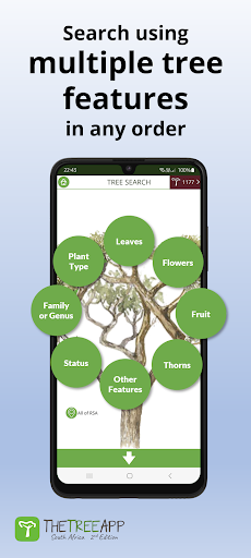 TheTreeApp SA: Tree Identifier ekran görüntüsü