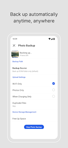 BeePhotos ekran görüntüsü