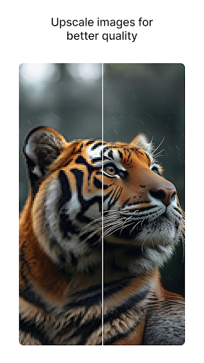 Pixelbin: Yapay Zeka Fotoğraf ekran görüntüsü