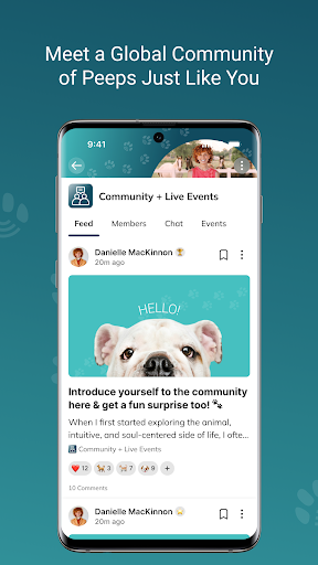 Danielle MacKinnon App ekran görüntüsü